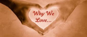 Why We Love?