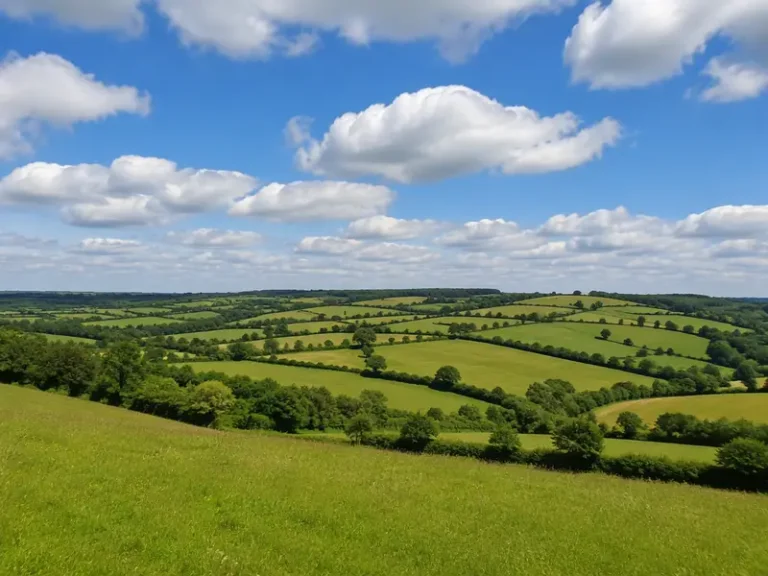 Rolling green hills of the Buckinghamshire countryside